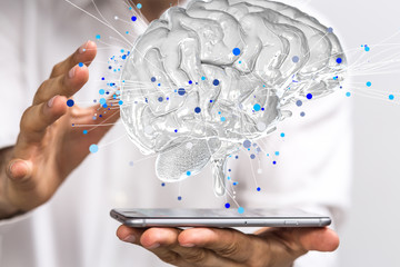 24年高速公路免费安排表