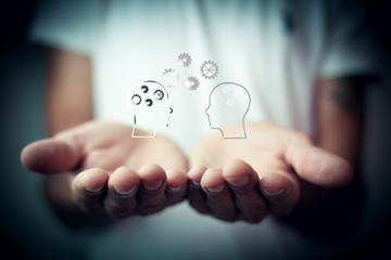 24年高速公路免费安排表