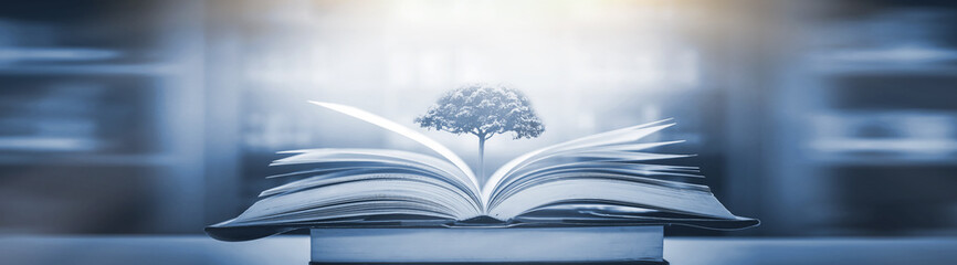 《新概念英语3》大概相当于什么水平？