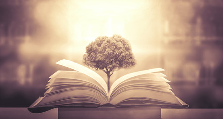 《新概念英语3》大概相当于什么水平？