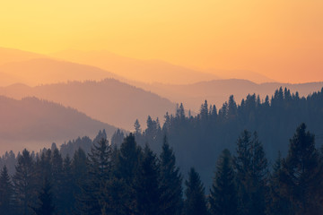 潍坊市公安局的主要领导