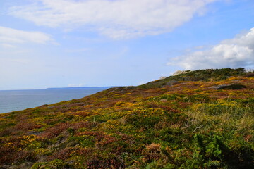 汇金国际怎么样？