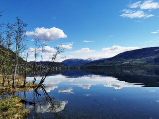 广州360手机官方旗舰店