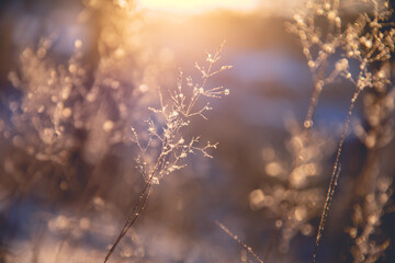 广州360手机官方旗舰店