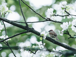 潍坊市公安局的主要领导