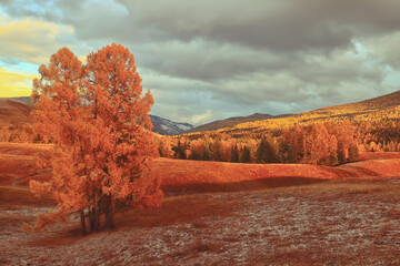 24年高速公路免费安排表