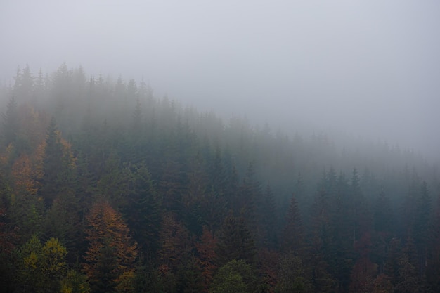 《新概念英语3》大概相当于什么水平？