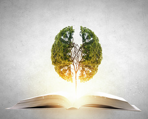 我的青春高八度吻戏在第几集