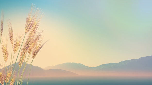 广州360手机官方旗舰店