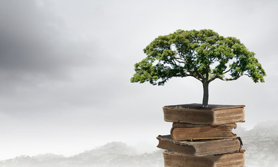 我的青春高八度吻戏在第几集