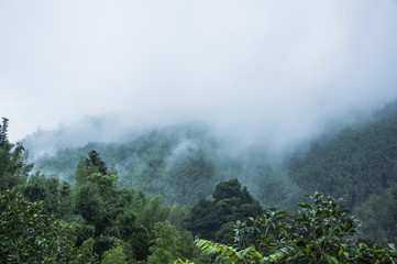 口袋侦探的游戏攻略